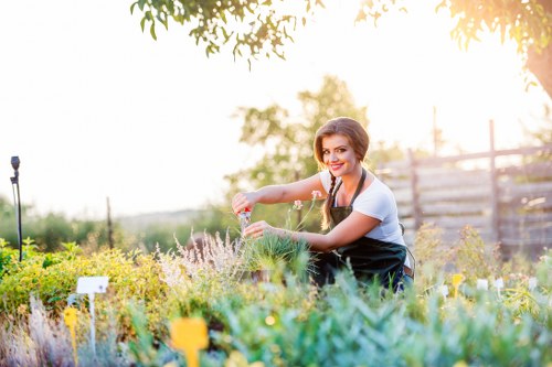 Gardening services in Keston with neatly maintained plants and lawn