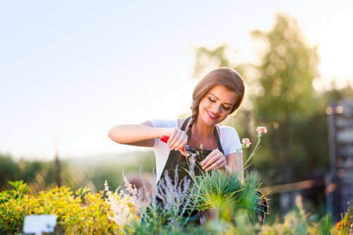 Professional garden maintenance in Keston for tidy outdoor spaces