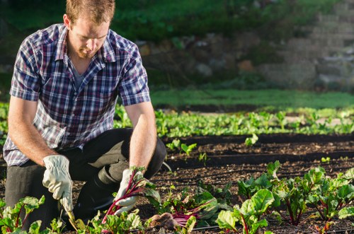 Healthy green lawn care in Keston with neatly maintained grass