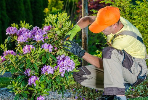 Professional gardener preparing a garden service agreement