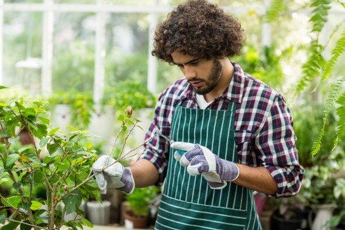 Professional lawn care in Keston improving soil and turf health
