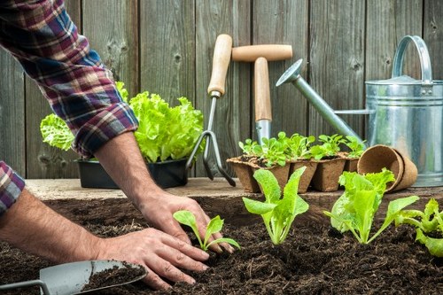 Site work notes and liability terms for garden services