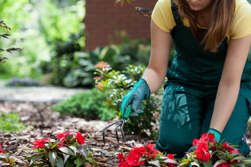 Professional garden maintenance in Keston for a tidy outdoor space