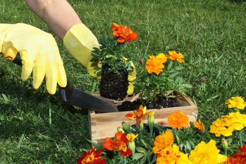 Seasonal lawn maintenance in Keston showing mowing and feeding