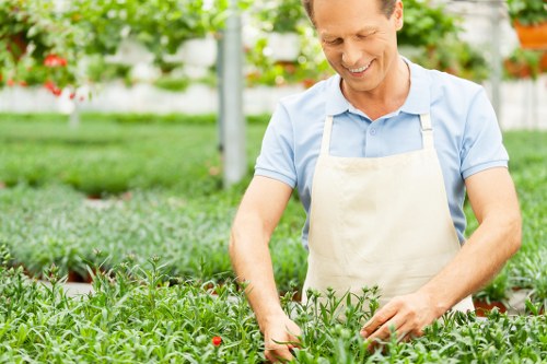 Seasonal garden maintenance in Keston with hedges and shrubs