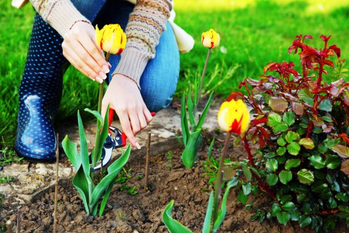Experienced gardeners in Keston working on seasonal garden maintenance