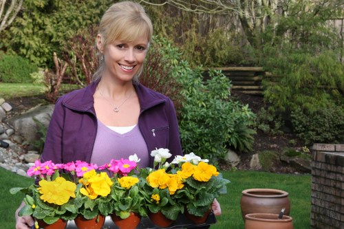 Weeding and border care during garden maintenance in Keston