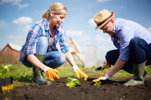 Professional Keston gardener improving a home garden