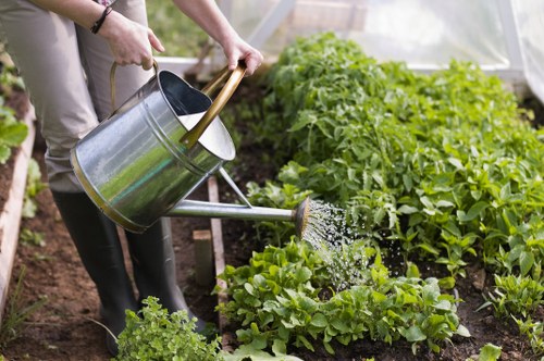 Risk assessment and safety planning for garden maintenance in Keston