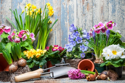Gardeners Keston providing thoughtful long-term outdoor care